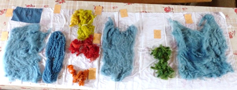 Teinture ave indigo, garance, gaude et mlanges